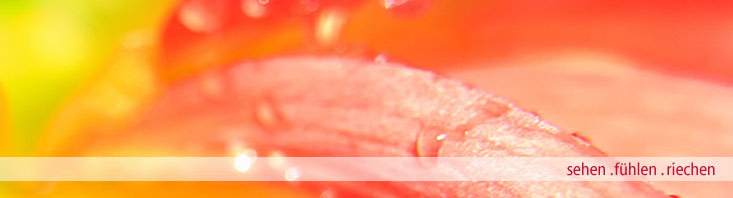 sehen.fühlen.riechen